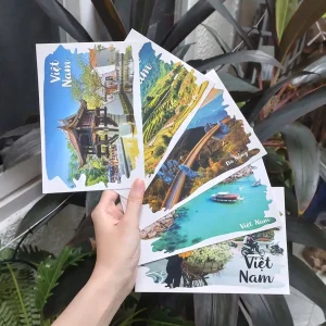 Postcard Bưu thiếp Việt Nam- Quà lưu niệm, quà tặng, quà du lịch