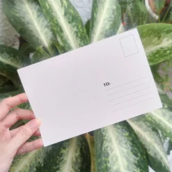 Postcard địa danh Việt Nam- gửi tin nhắn, lời yêu thương đến người thân yêu