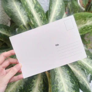 Postcard địa danh Việt Nam- gửi tin nhắn, lời yêu thương đến người thân yêu