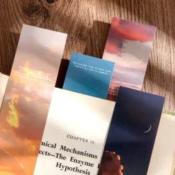 Set 5 Bookmark in hình đang cắm vào trang sách, nền gỗ sáng, ánh sáng tự nhiên.