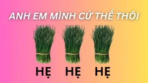 Anh em mình cứ thế thôi hẹ hẹ hẹ